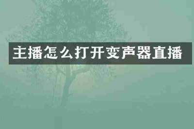 主播怎么打开变声器直播