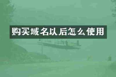 购买域名以后怎么使用