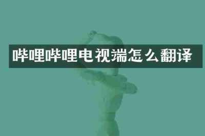 哔哩哔哩电视端怎么翻译
