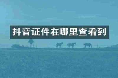 抖音证件在哪里查看到