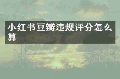 小红书豆瓣违规评分怎么算