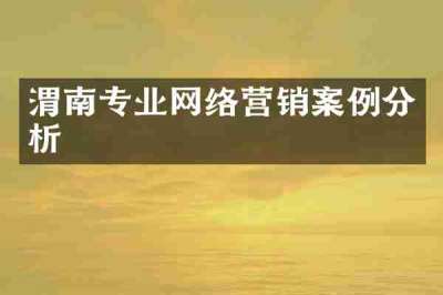 渭南专业网络营销案例分析