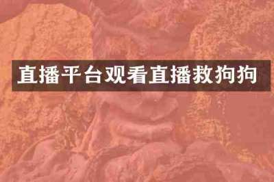 直播平台观看直播救狗狗
