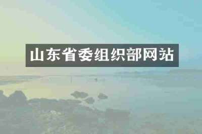 山东省委组织部网站
