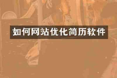 如何网站优化简历软件