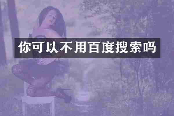 你可以不用百度搜索吗