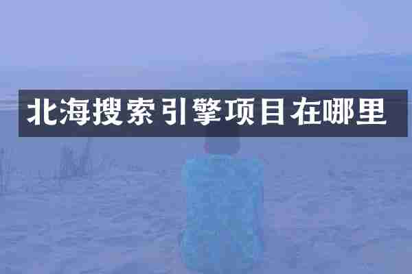 北海搜索引擎项目在哪里