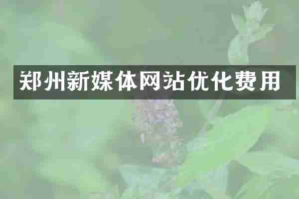 郑州新媒体网站优化费用