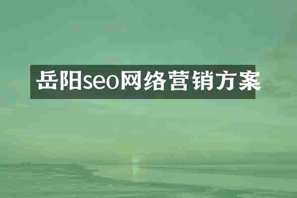 岳阳seo网络营销方案