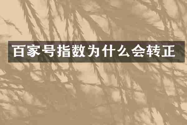 百家号指数为什么会转正