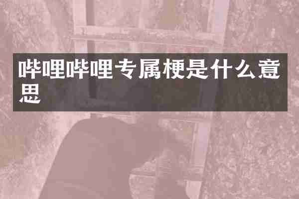 哔哩哔哩专属梗是什么意思