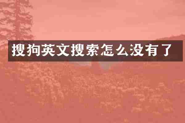 搜狗英文搜索怎么没有了