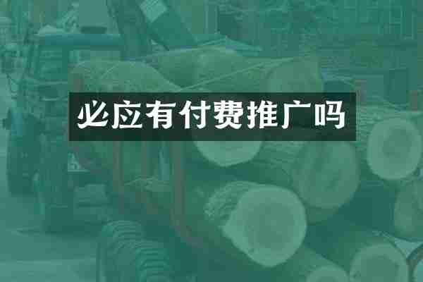 必应有付费推广吗