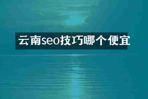 云南seo技巧哪个便宜