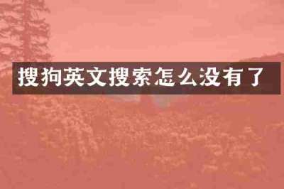 搜狗英文搜索怎么没有了