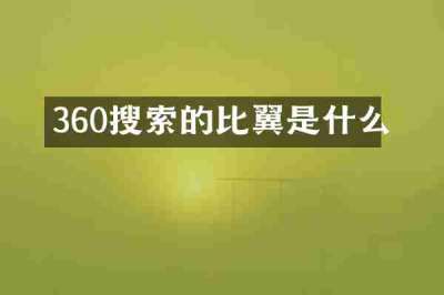360搜索的比翼是什么