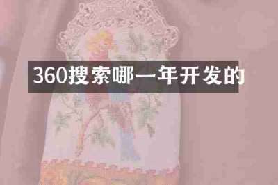 360搜索哪一年开发的