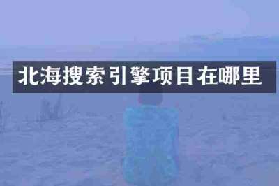 北海搜索引擎项目在哪里