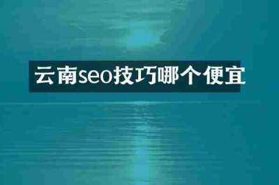 云南seo技巧哪个便宜