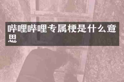 哔哩哔哩专属梗是什么意思