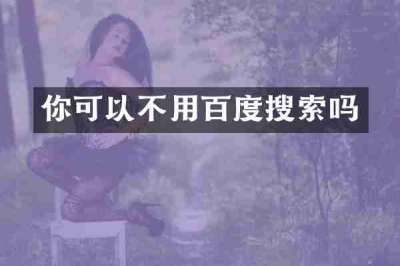 你可以不用百度搜索吗