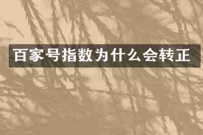 百家号指数为什么会转正