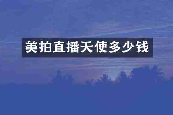 美拍直播天使多少钱