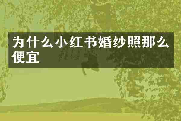 为什么小红书婚纱照那么便宜