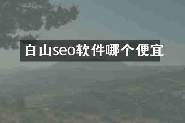 白山seo软件哪个便宜