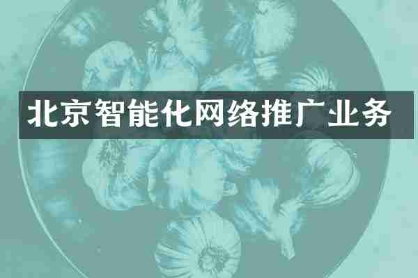 北京智能化网络推广业务