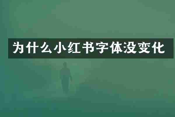 为什么小红书字体没变化