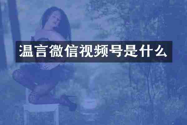 温言微信视频号是什么