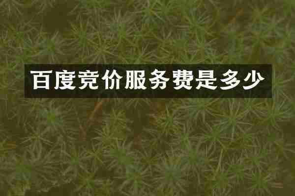 百度竞价服务费是多少