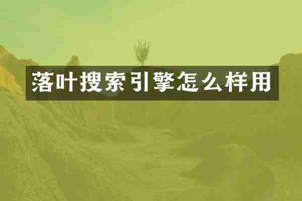 落叶搜索引擎怎么样用