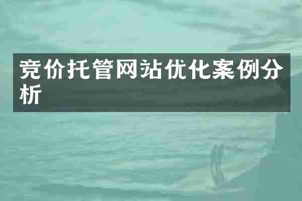 竞价托管网站优化案例分析