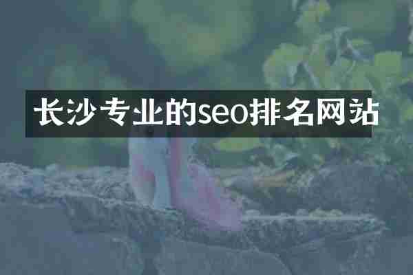 长沙专业的seo排名网站