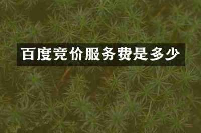 百度竞价服务费是多少