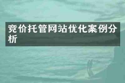 竞价托管网站优化案例分析