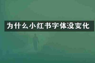 为什么小红书字体没变化