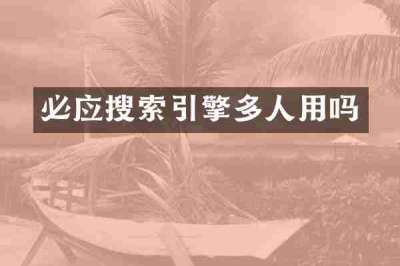 必应搜索引擎多人用吗