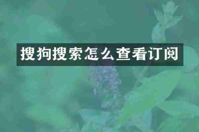 搜狗搜索怎么查看订阅
