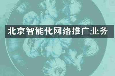 北京智能化网络推广业务