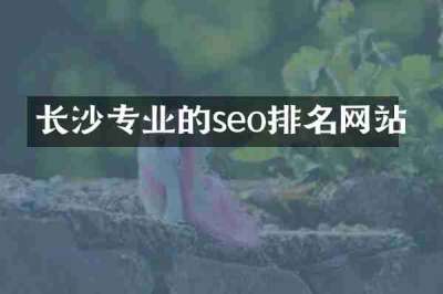 长沙专业的seo排名网站