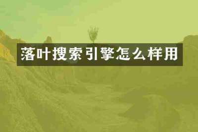 落叶搜索引擎怎么样用
