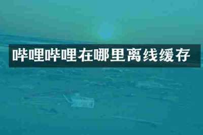 哔哩哔哩在哪里离线缓存