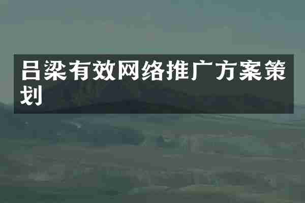 吕梁有效网络推广方案策划