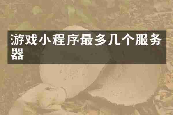 游戏小程序最多几个服务器