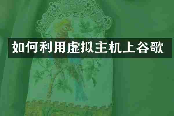 如何利用虚拟主机上谷歌