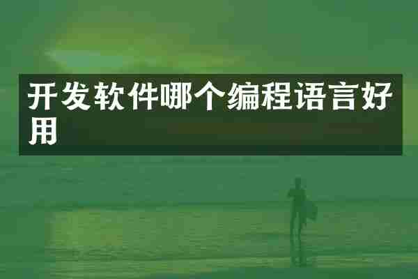开发软件哪个编程语言好用