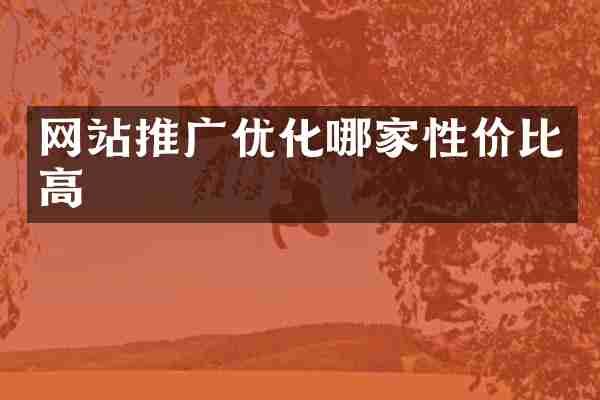 网站推广优化哪家性价比高